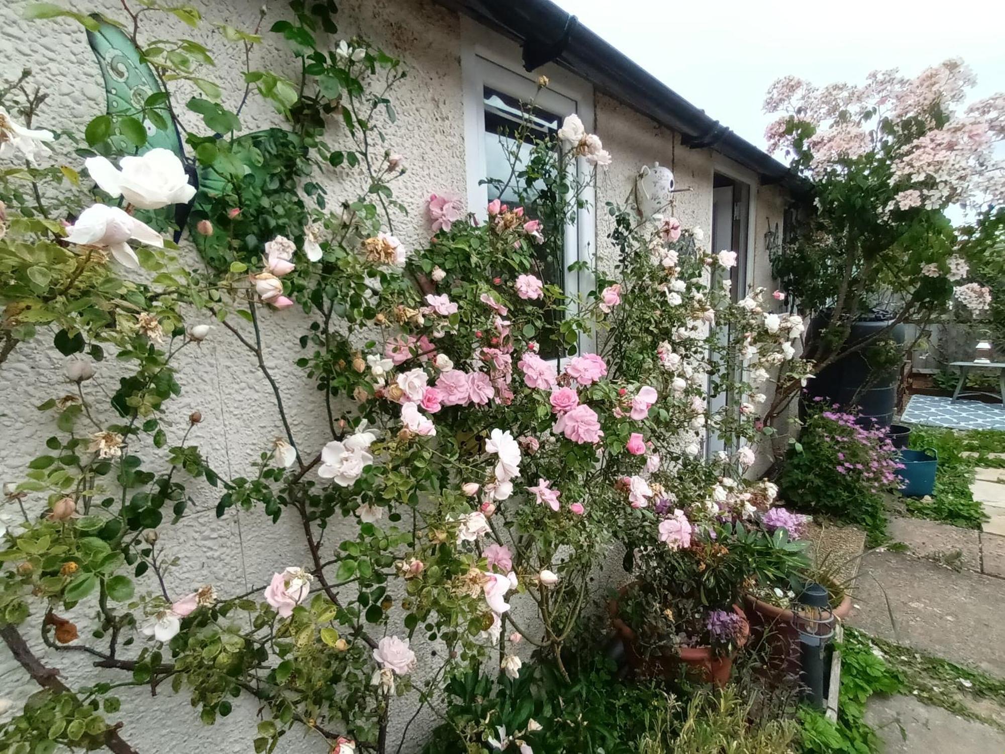 Private Suite In Oxfordshire, A40 ウィットニー エクステリア 写真